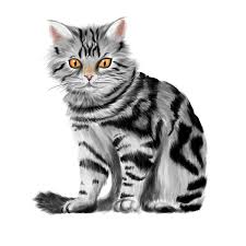 Free tabby kittens stock video footage licensed under creative commons, open source, and more! 7 305 Tabby Vectors Royalty Free Vector Tabby Images Depositphotos