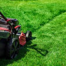 Lawn Cutting Tips To Keep Your Grass