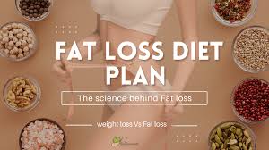 best fat loss t plan 2023 t2nourish