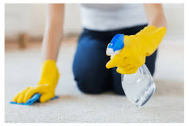 pretest carpet cleaning solutions