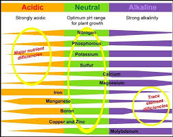 Acidic Neutral Alkaline Ph Chart Soil Ph Plant Health