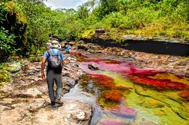 Caño cristales is a famous river in colombia known as the river of five colors, which is also considered by many to be the most beautiful river in the world. Awake Travel Cano Cristales Cano Piedra Y Cristalitos Desde La Macarena