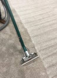 healthy carpet cleaning ann arbor 1