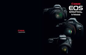 Canon Eos 40d Professionals Guide