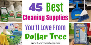 best cleaning supplies at dollar tree