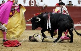 fotos de Colombian Bullfighter Luis Bolivar Gored By - Foto de stock de  contenido editorial: imagen de stock | Shutterstock Editorial