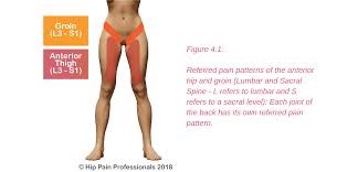 In human anatomy, the groin (the adjective is inguinal, as in inguinal canal) is the junctional area (also known as the inguinal region) between the abdomen and the thigh on either side of the pubic bone. Groin Pain Structures And Conditions That Can Contribute To Groin Pain