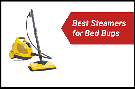 the best steamers for bed bugs in 2023