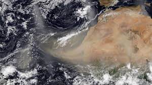 Tormenta de polvo del Sahara: qué medidas debemos tomar - Centro Humboldt