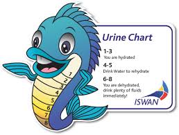 Quench Hydration Urine Colour Chart Iswan