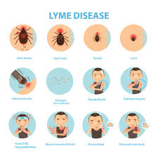 lyme disease treatment in rhode island