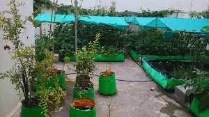 rectangular terrace gardening kit at rs