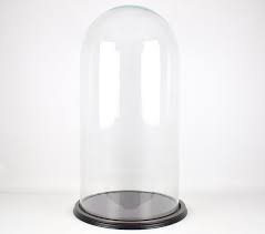 Glass Dome With Wooden Base Cloche Bell