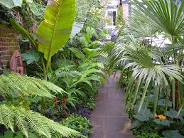 awesome garden tropical plants ideas