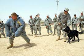 army military working dog handler mos