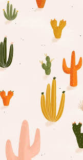 colorful cactus #wallpaper