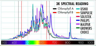 Information About Grow Light Spectrum Par Photosynthesis