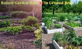 Raised Garden Beds Vs In Ground Beds