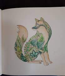 This is how i like to color & i just thought i'd like enchanted forest coloring book copywritten by johanna basford. Attentive Fox Enchanted Forest Coloring