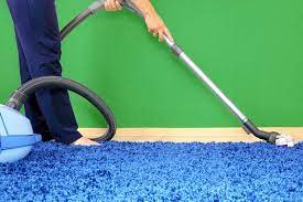 hiring a professional carpet cleaner