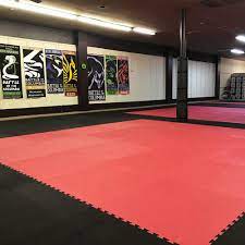 20 mm pro taekwondo mats for martial arts