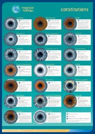 70 Best Iridiology Eyes And What They Mean Diagnosis