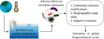 marine microbial communities