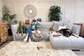 Best Corner Sofas For Pets Furniture