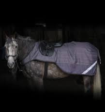 amigo horse blankets turnouts and