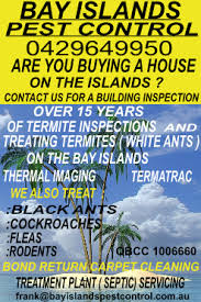 bay islands pest control carpet