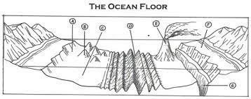 ocean floor flashcards quizlet