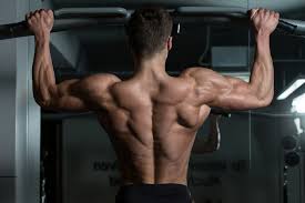 What Muscles Do Pull Ups Work The Definite Pull Up Guide