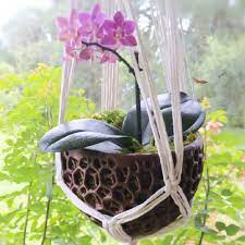 Buy Diy Orchid Hanging Planter Kokedama