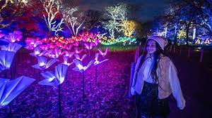 christmas at kew tickets and