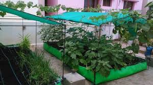 green hdpe rooftop farming grow bag