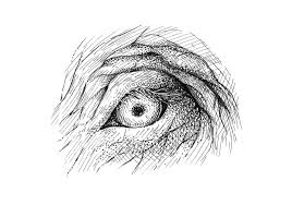 Hands on another's shoulders 2026? How To Draw Animal Eyes With Pen And Ink