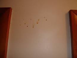 fix yellow drips on walls and ceilings