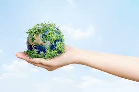 save environment images free
