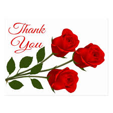 Baby thank you card wording. Red Rose Flowers Thank You Floral Postcard Zazzle Com