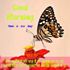 good morning happy for him hindi es