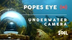 underwater reef cam live feed