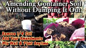 amending improving container soil