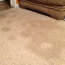 water stain removal on carpet guide