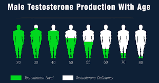 How To Keep Your Testosterone Levels Higher As You Age
