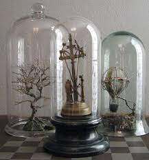 160 Best Glass Domes Ideas Glass