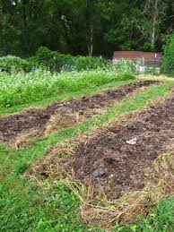 Planning A No Till Garden