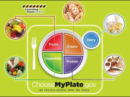 healthyliving myplate tary