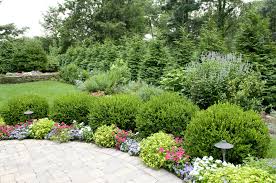 About Trees Shrubs