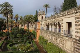 orange trees peas seville