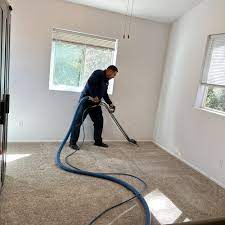 the best 10 carpet cleaning in orange